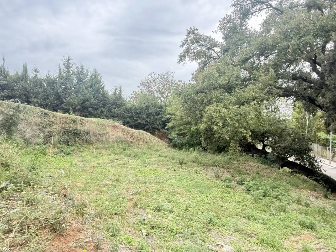 Terreno residencial en venta en Calle Alzines, imagen 5