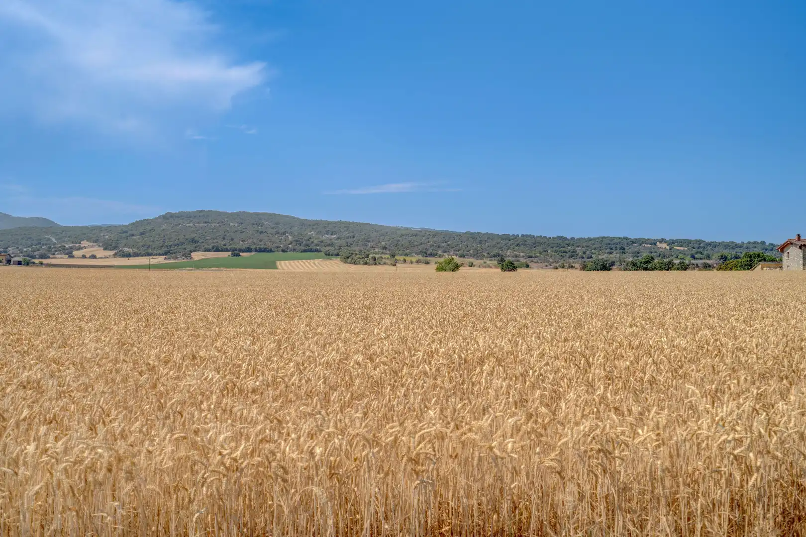 Residential for sale in Vitoria - Gasteiz