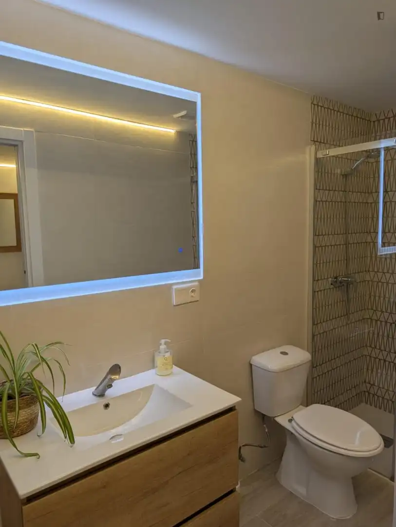 Bathroom of Houses for rent in Madrid  with Air Conditioner, Furnished and Washing machine