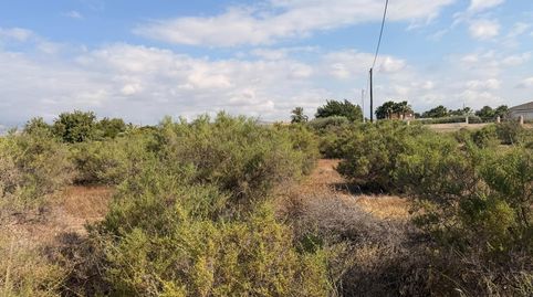 Foto 3 von Residential zum Verkauf in La Algoda - Matola - Llano de San José, Elche / Elx