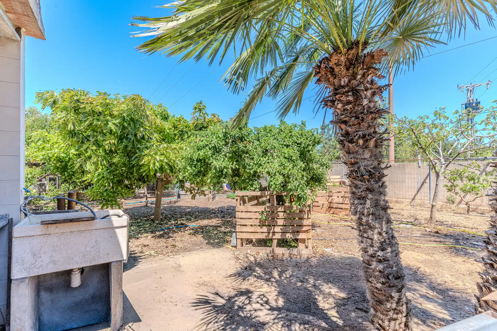 Jardín de Casa o chalet en venta en Benicarló con Calefacción, Jardín privado y Terraza