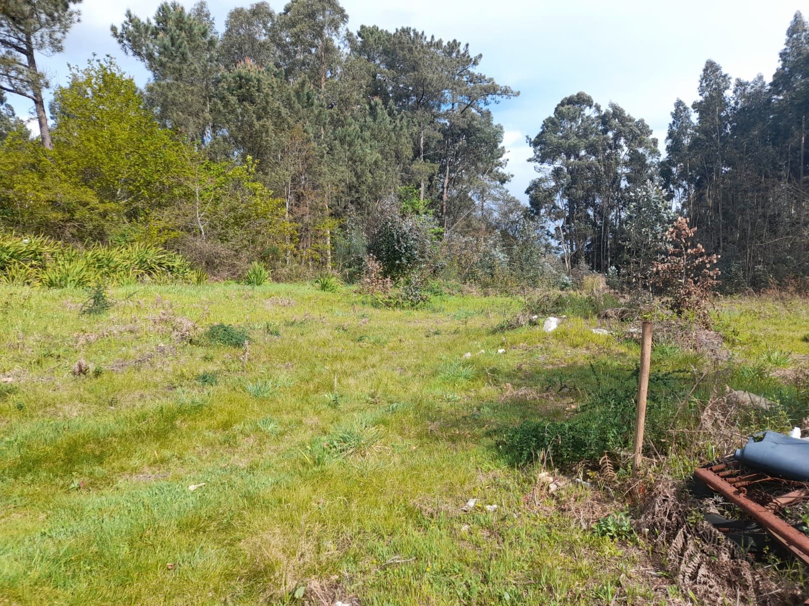 Residential for sale in Tui