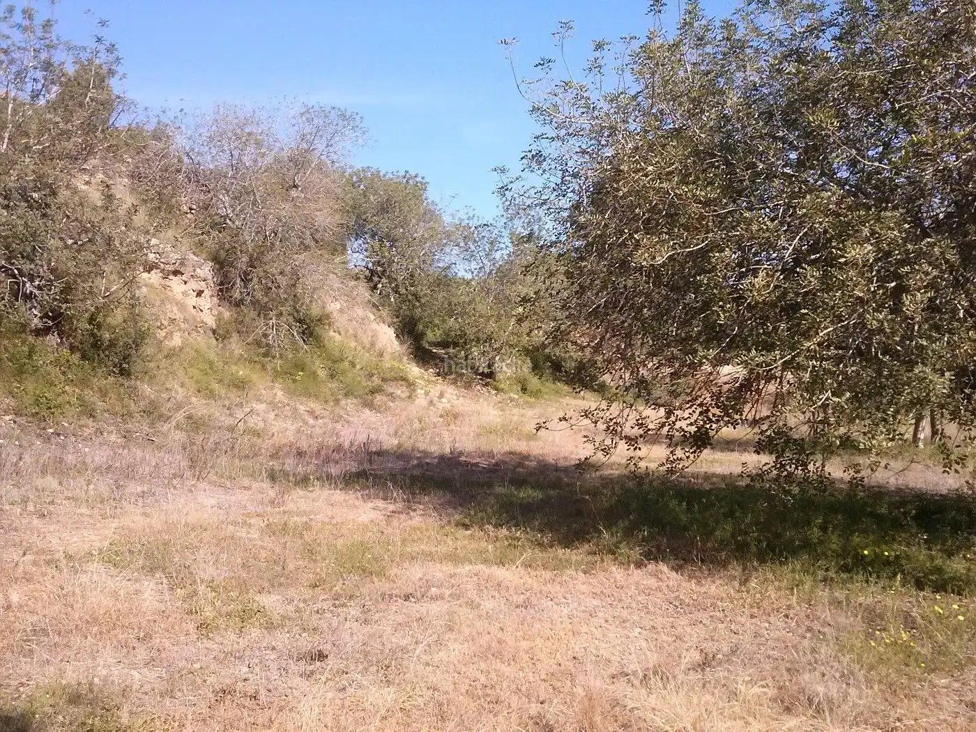 Industrial land for sale in Carrer de la Via 19, imagen 6