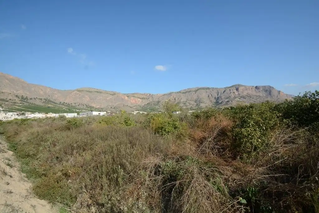 Terreno rústico en venta en Montepinar - La Aparecida - Raiguero, imagen 5