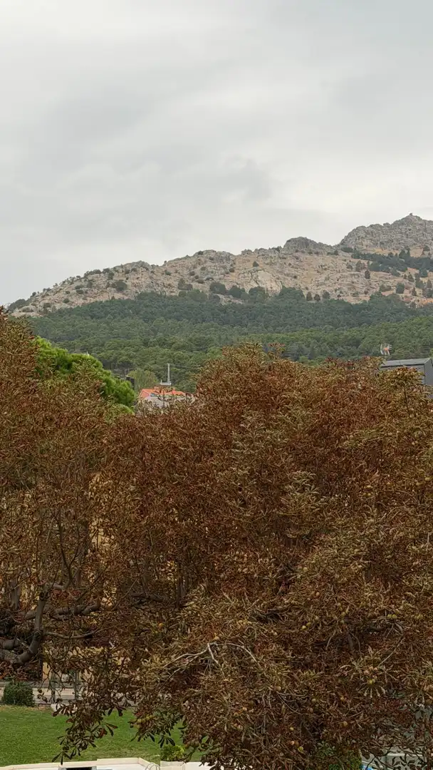 Pis amb terrassa en venda a Centro - Casco Histórico