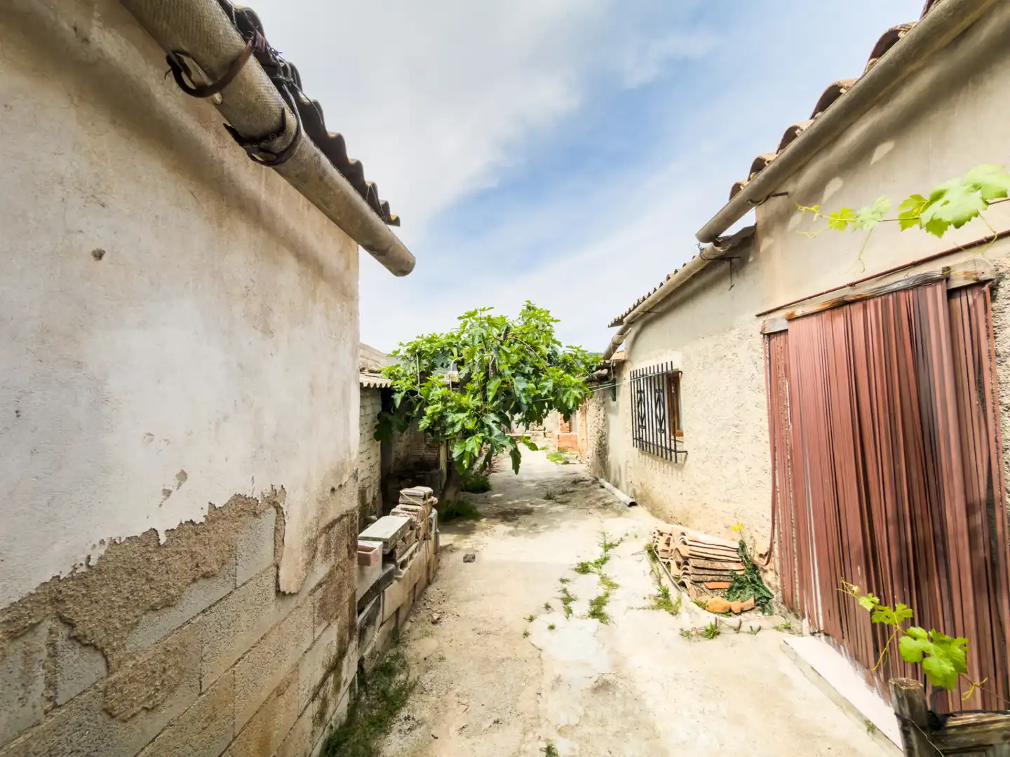 Vista exterior de Casa o xalet en venda en Cortes de Baza amb Jardí privat, Terrassa i Moblat