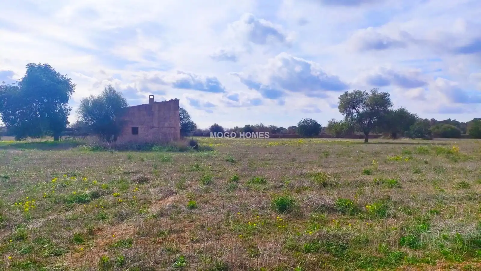Lands and plots for sale in Llucmajor pueblo, imagen 5