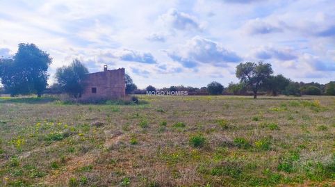 Foto 5 de Residencial en venda a Llucmajor pueblo, Llucmajor