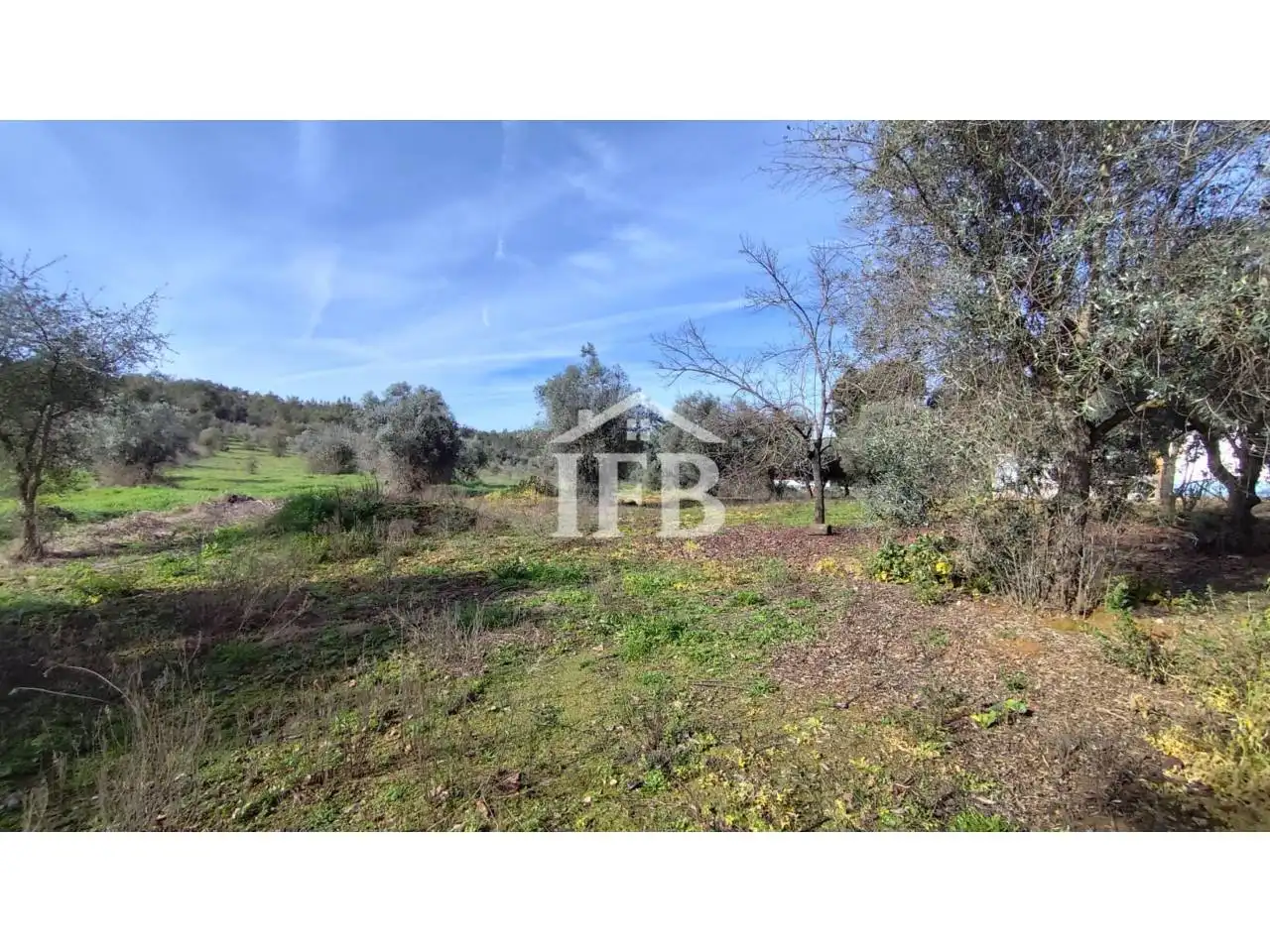 Terreno en venta en La Codosera