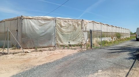 Foto 3 von Grundstücke zur Miete in Partida Maitino, 1117, Perleta - Maitino, Elche / Elx