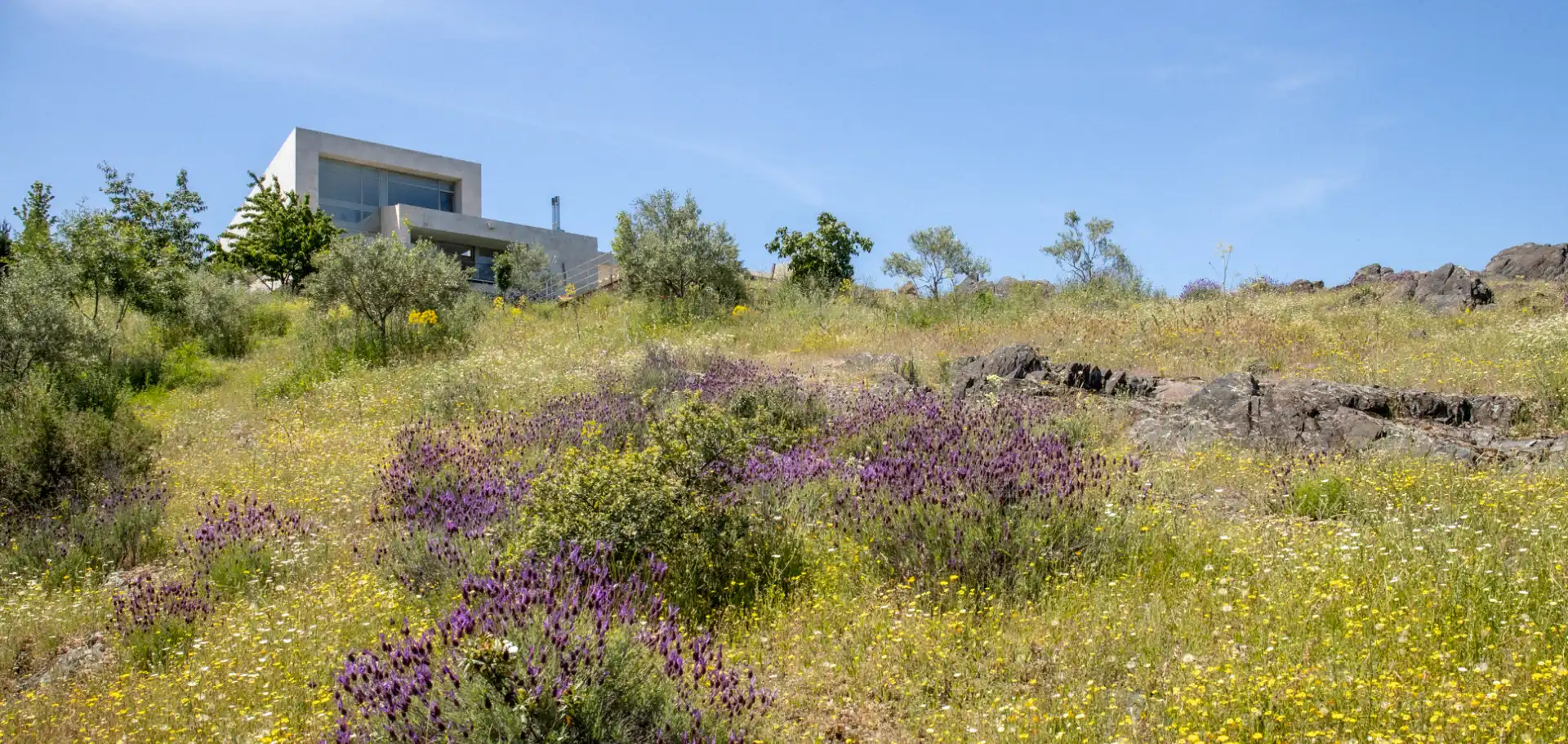 Casa o chalet en venta en Torremocha de Jarama con Calefacción, Jardín privado y Terraza