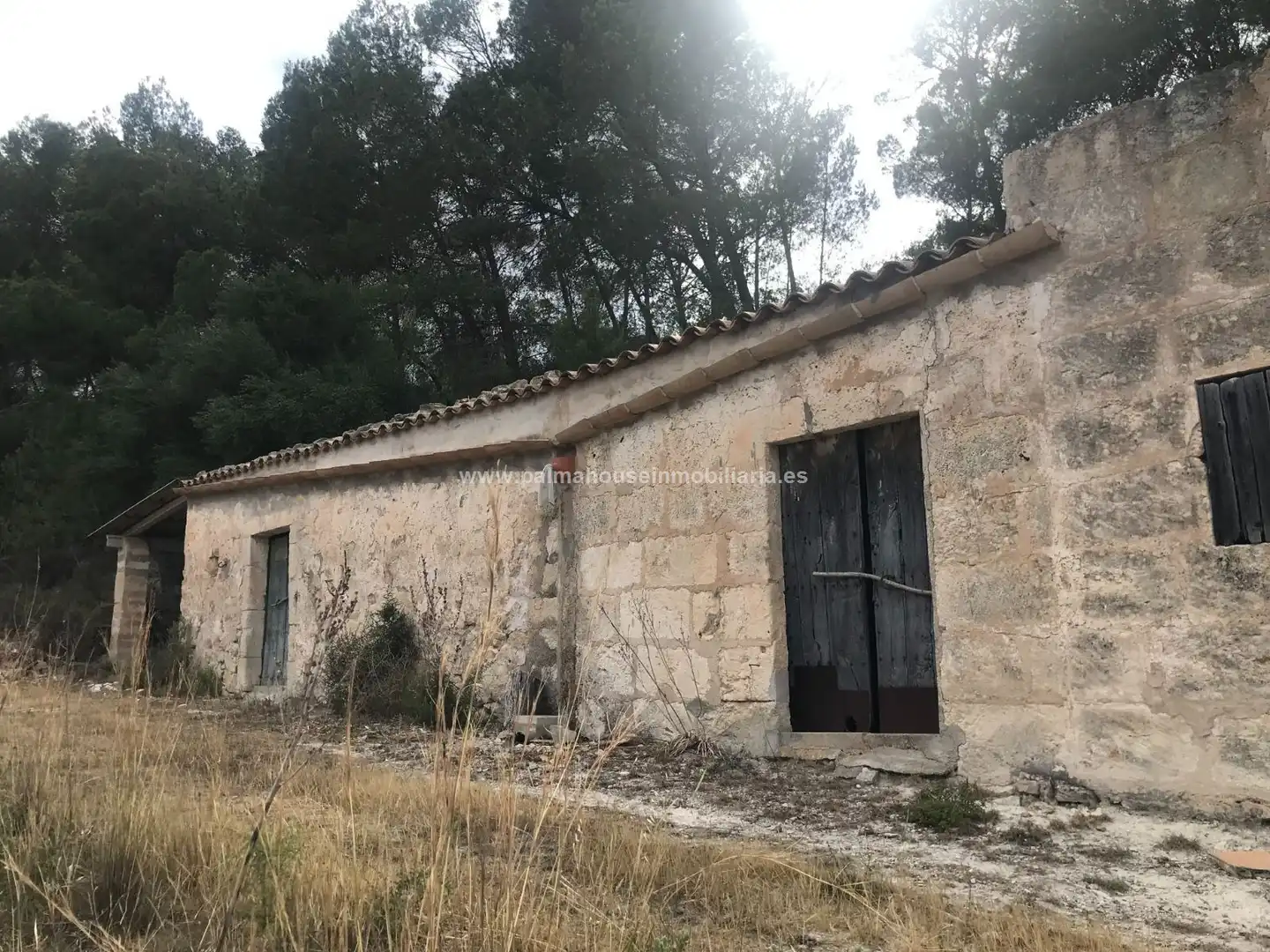 Vista exterior de Finca rústica en venta en Maria de la Salut con Calefacción y Terraza
