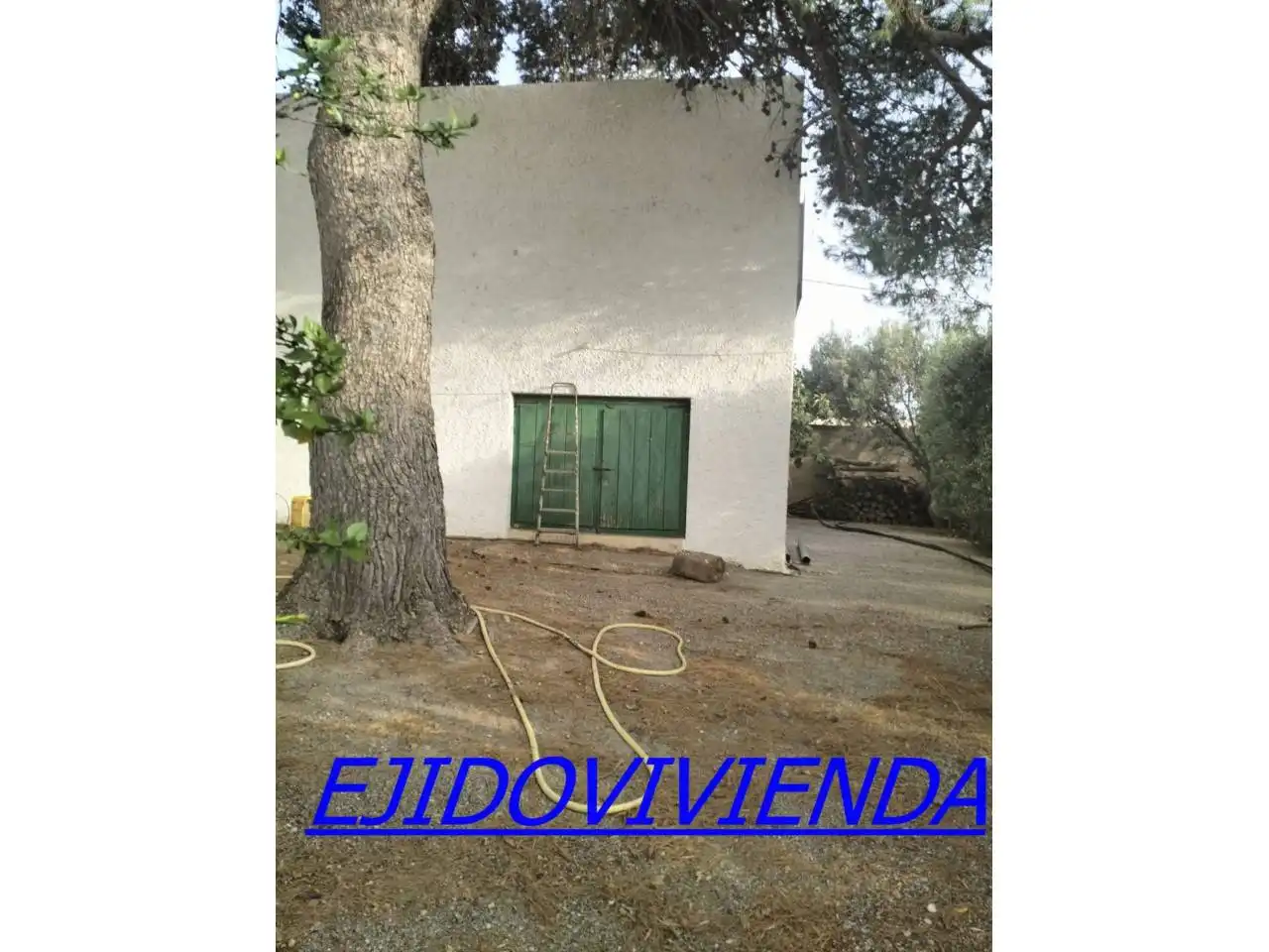 Jardín de Casa o chalet en venta en El Ejido con Jardín privado y Terraza