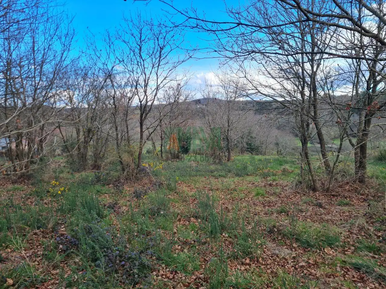 Terreni e lotti in vendita a Carretera de Celanova, imagen 6