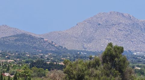 Foto 3 de Piso en venta en Carrer de Xesc Forteza, 3, Ciutat d'Alcúdia, Illes Balears