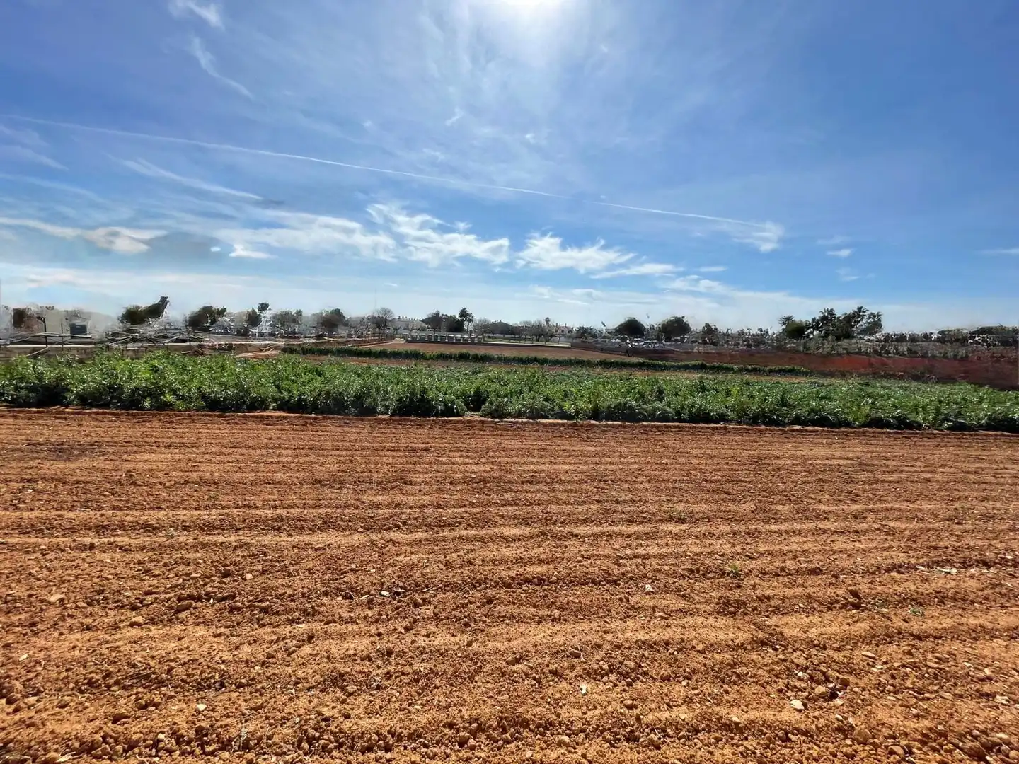Residential land for sale in Marítima Sud, imagen 14