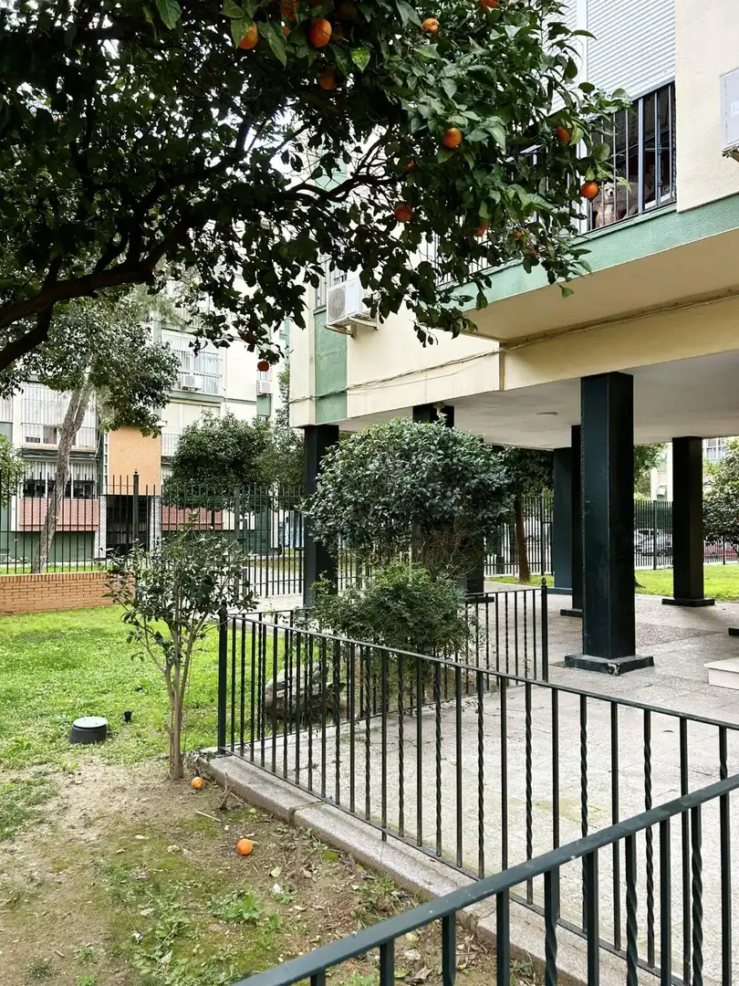 Exterior view of Flat for sale in Sevilla  with Terrace