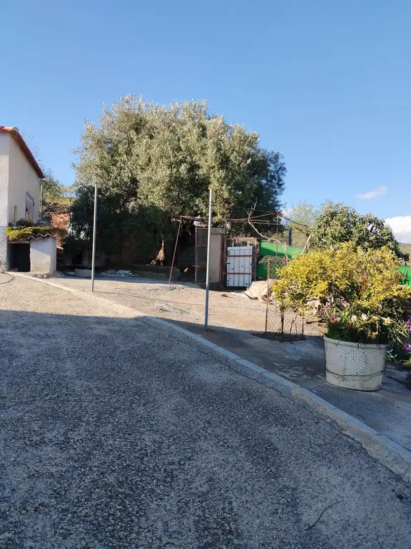 Casa rústica amb terrassa en venda a Camino Polígono 19 Parcela 224 ERMITA. ALBONDON (GRANADA, imagen 66