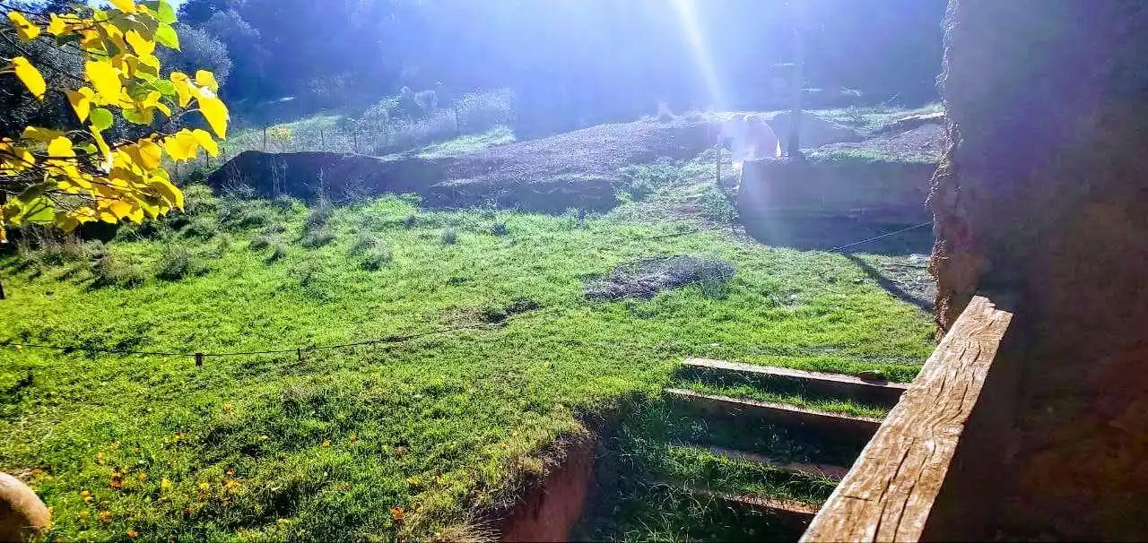 Finca rústica en venda en San Nicolás del Puerto