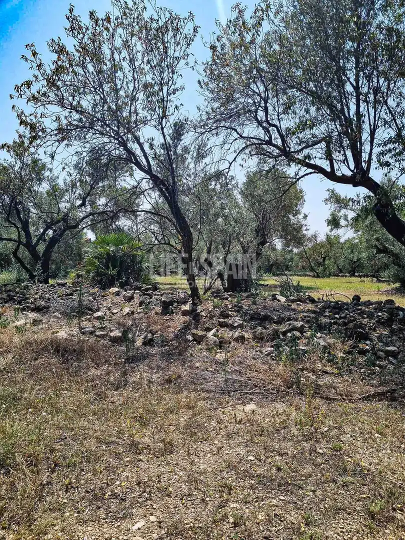 Maison rustique à vendre à Roquetes, imagen 14