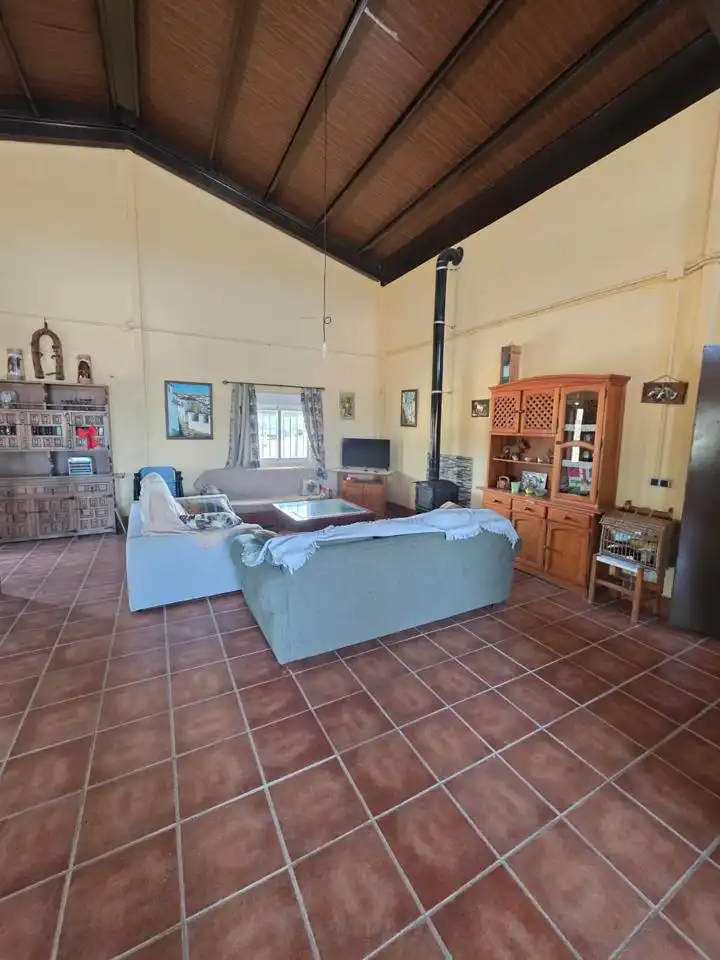 Sala de estar de Finca rústica en venta en Lebrija