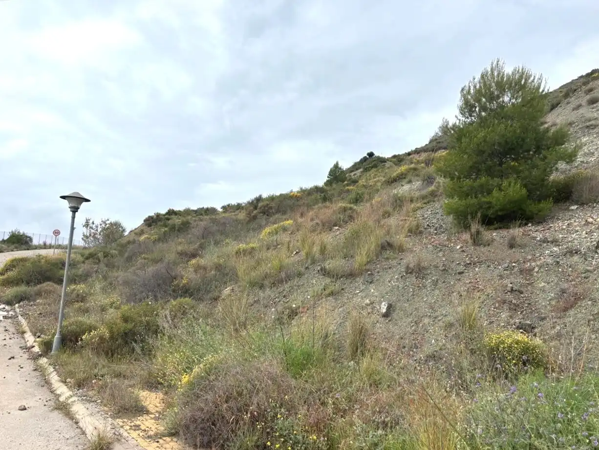 Terreni e lotti in vendita a Sierra Gorda, imagen 11