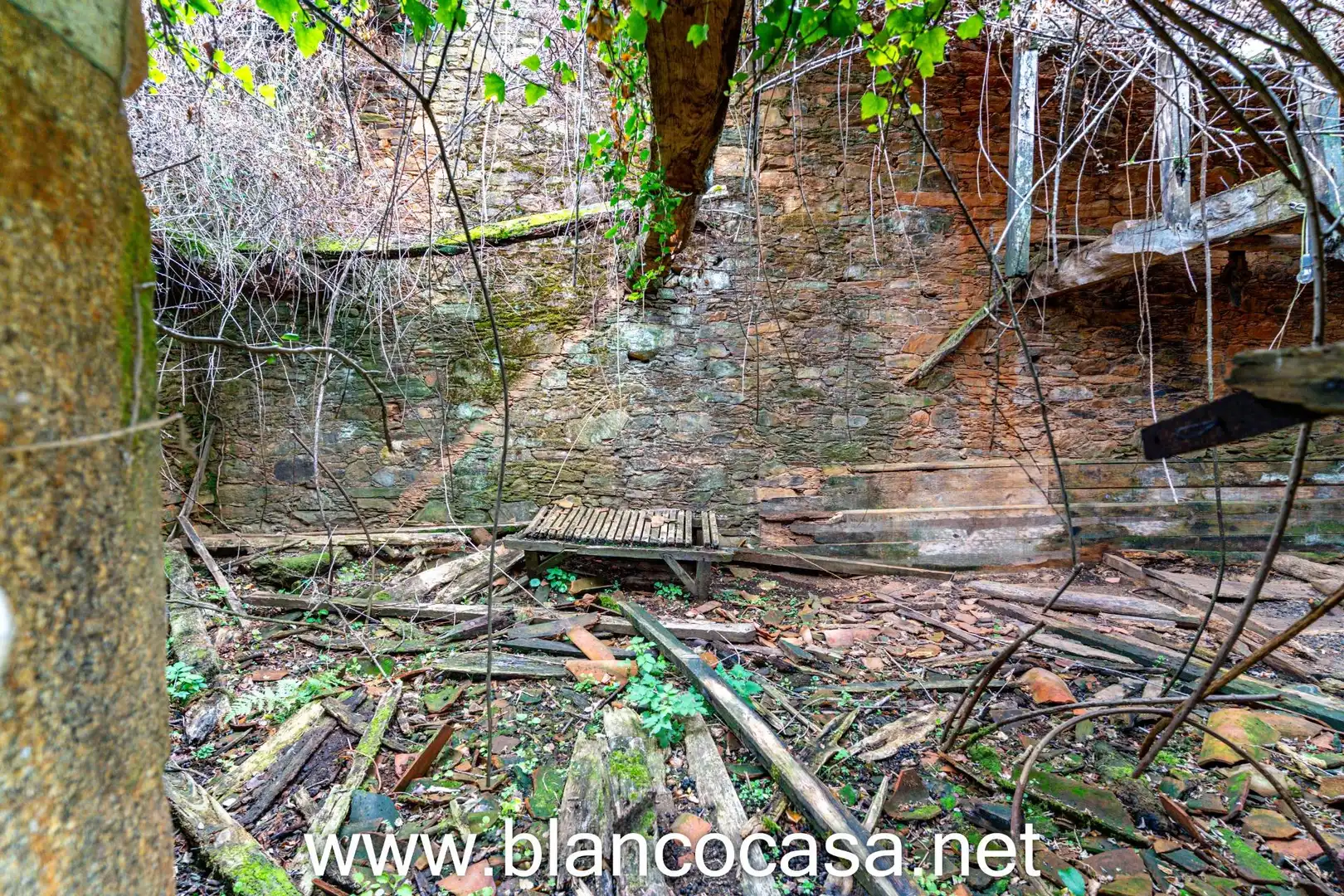 Finca rústica en venta en Coristanco con Jardín privado