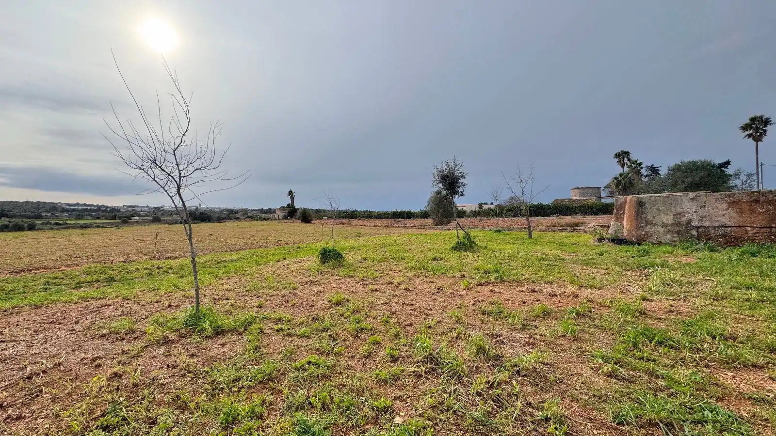 Maison rustique avec jardin à vendre à Sa Pobla, imagen 15