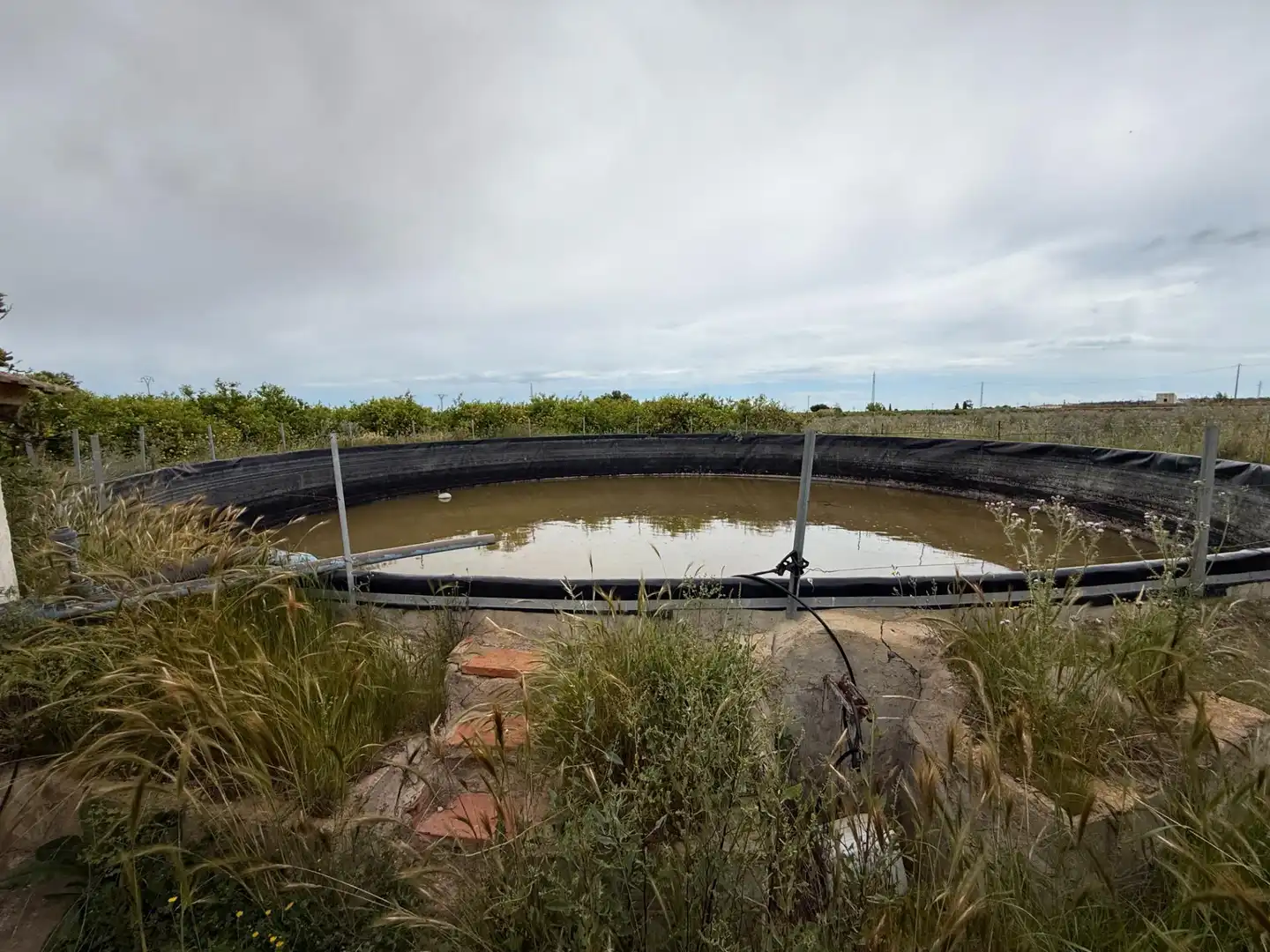 Terreno rústico en venta en Camino San Miguel de Salinas, imagen 9