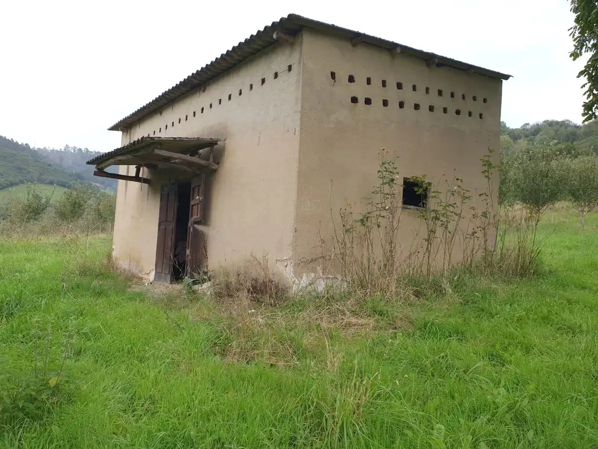 Maison rustique à vendre à Grado, imagen 6