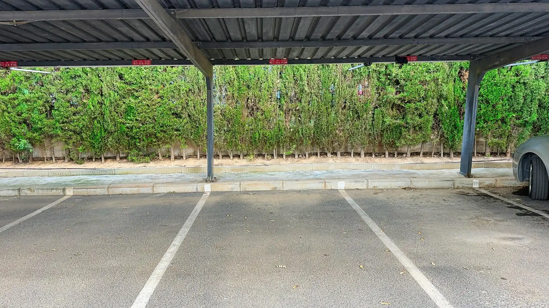 Aparcament de Pis en venda en Benidorm amb Aire condicionat, Jardí privat i Terrassa