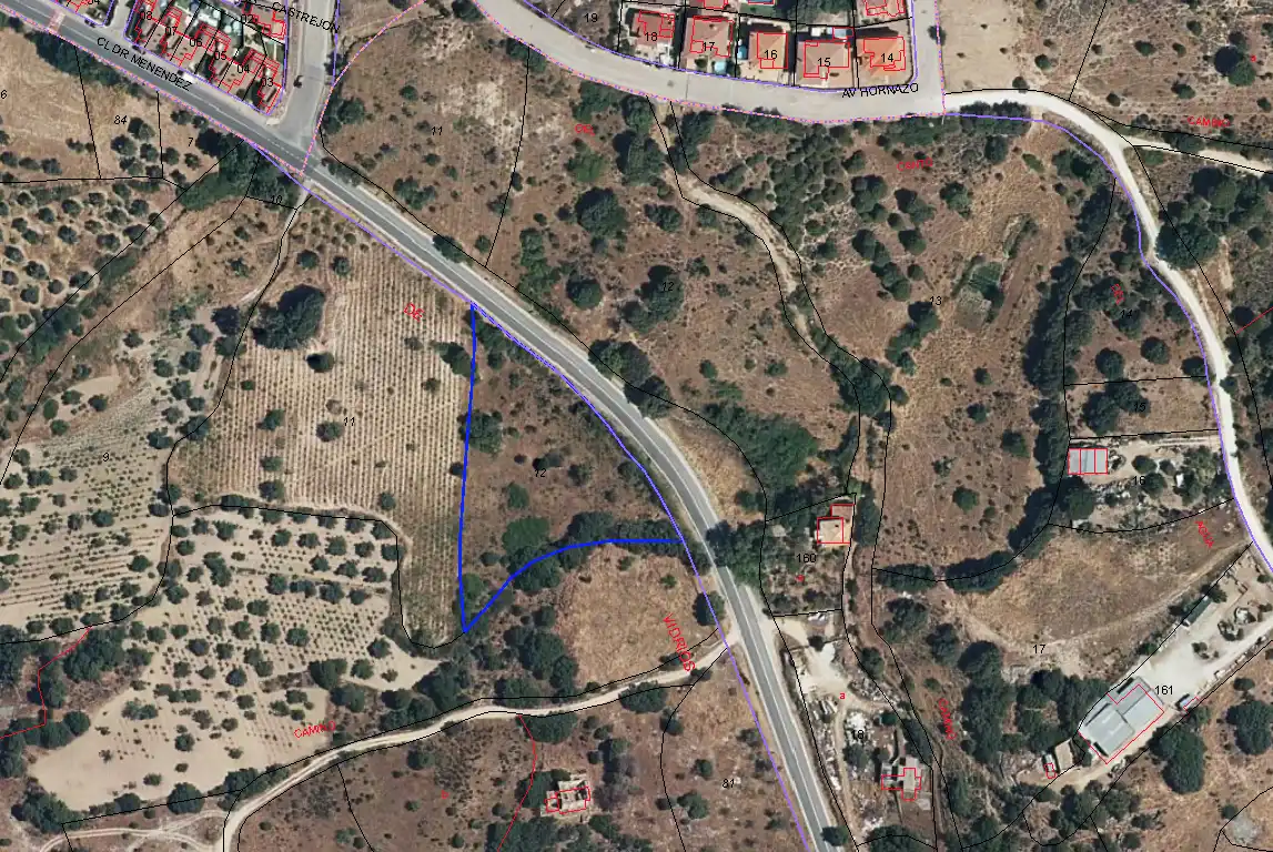 Terreno rústico en venta en paraje castellana, imagen 2