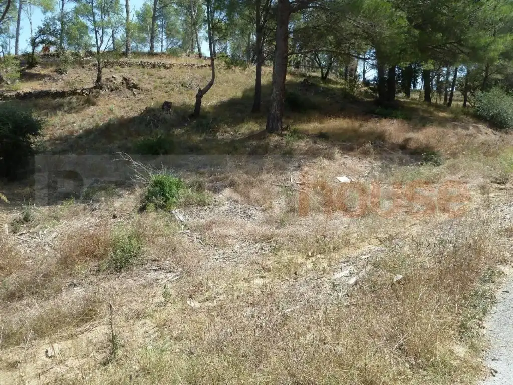 Terreno residenziale in vendita a Calle de la Vallesa, imagen 3