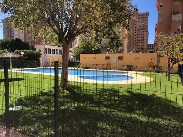 Swimming pool of Apartments for rent in Benidorm  with Private garden, Furnished and Community pool