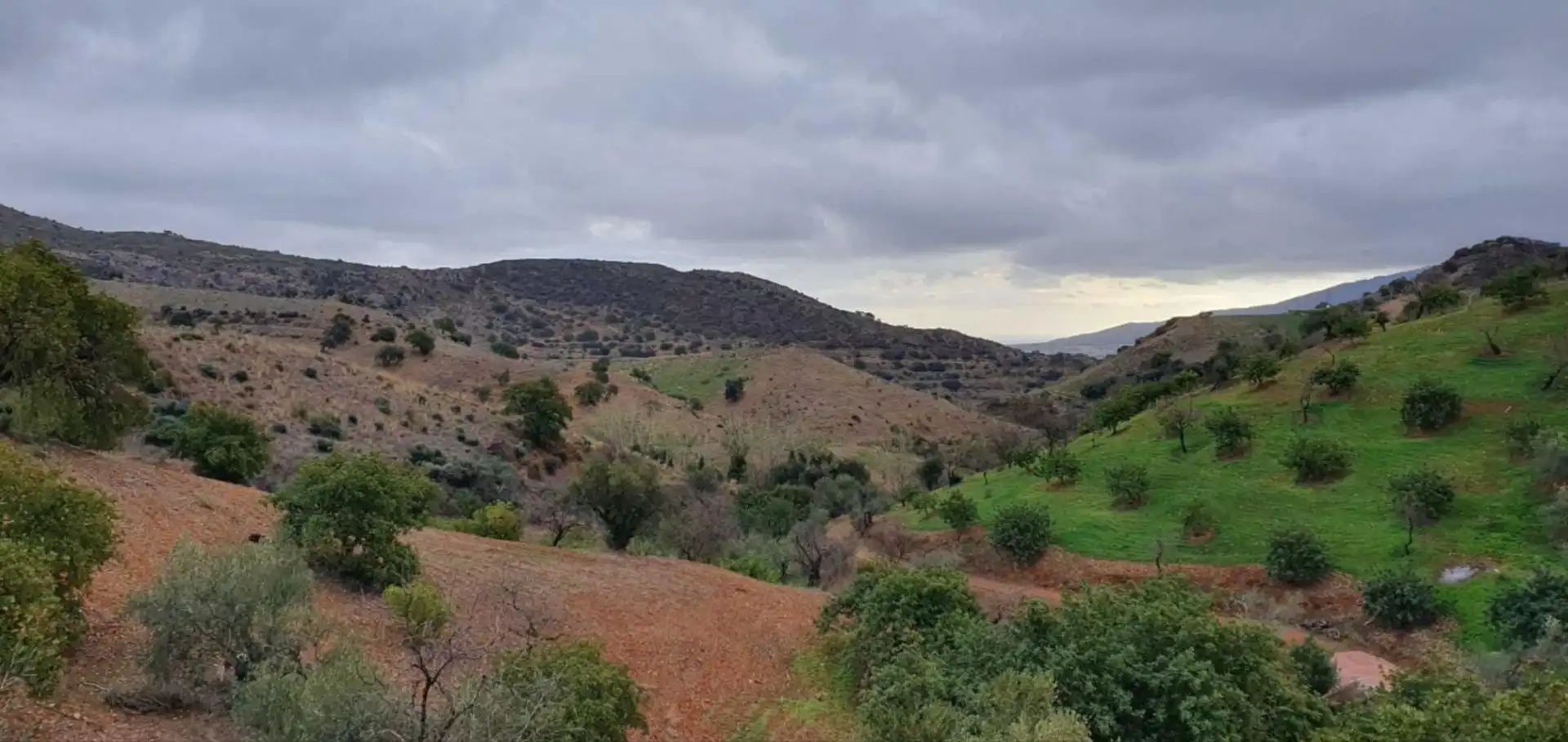 Terreni e lotti in vendita a Cártama pueblo, imagen 25