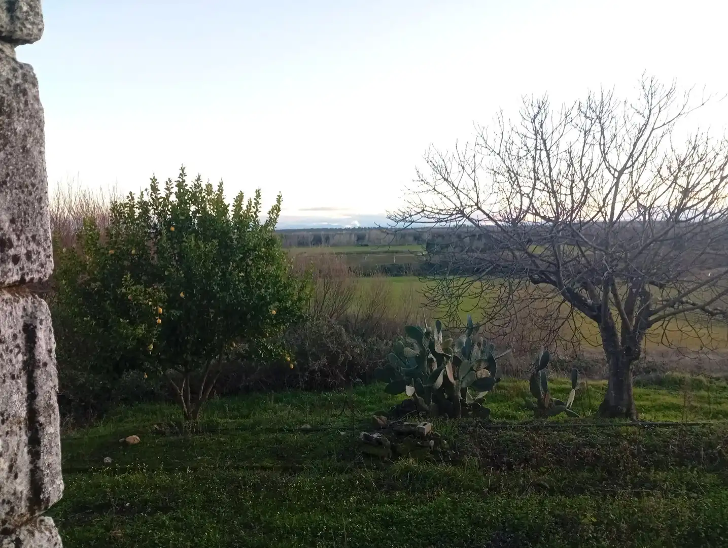 Land for sale in Losar de la Vera