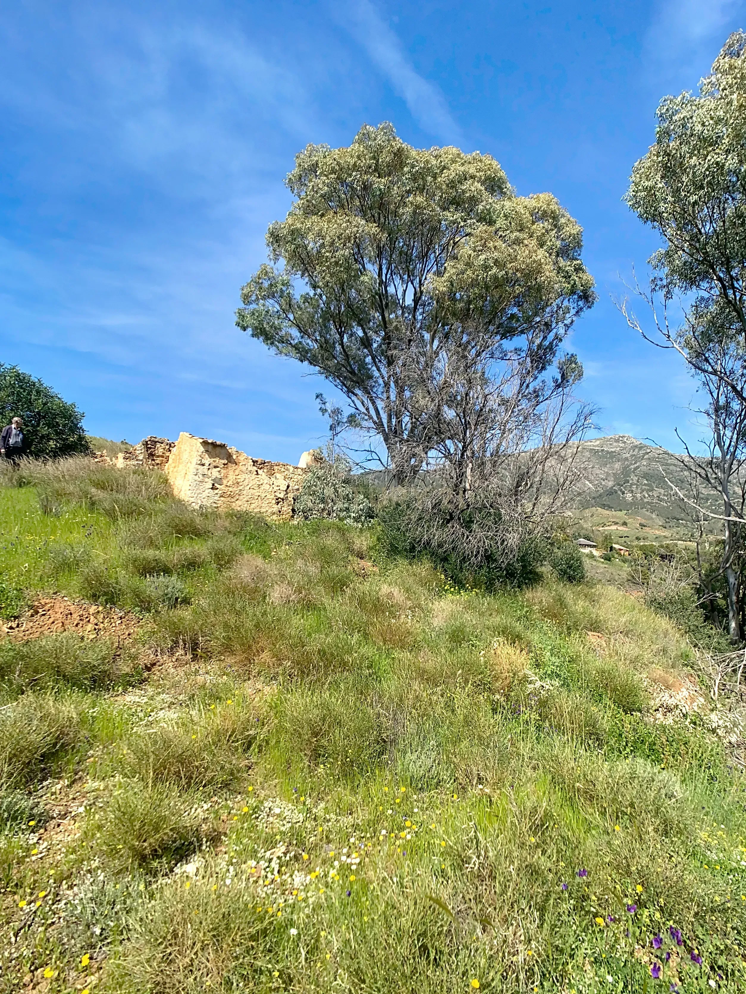 Land for sale in Mijas