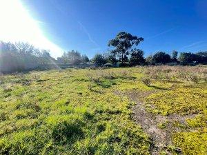 Photo 2 of Industrial land to rent in Avenida de Los Campones, Tremañes, Asturias