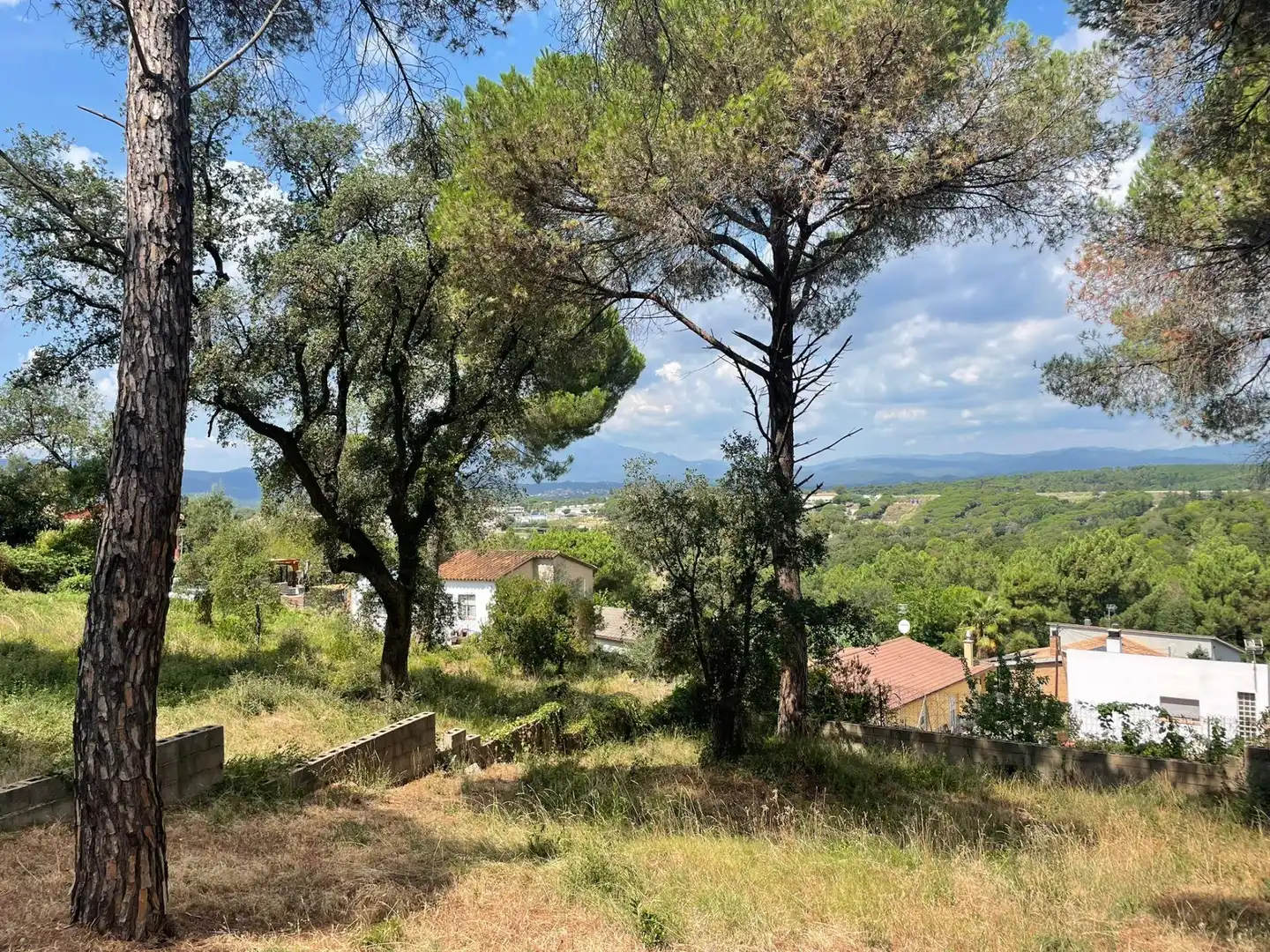 Terreno residencial en venta en Mas Mora - Sant Daniel, imagen 15