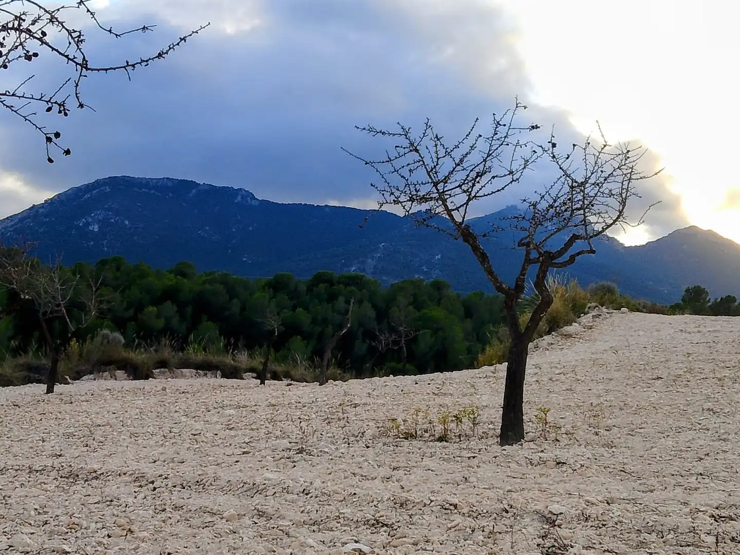 Terreno rustico in vendita a N/A, imagen 12