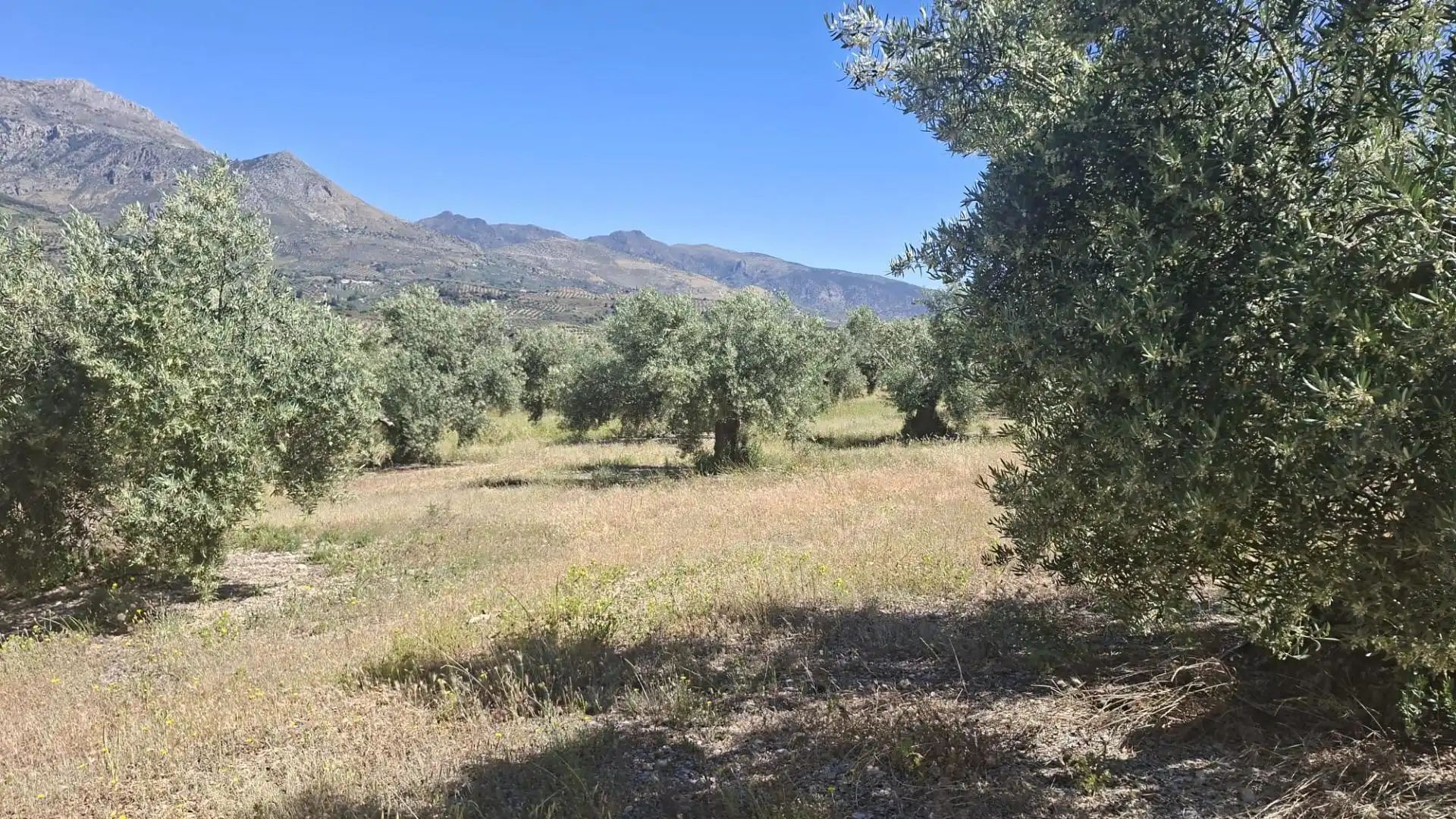 Terreny rústic en venda a Rois, imagen 3