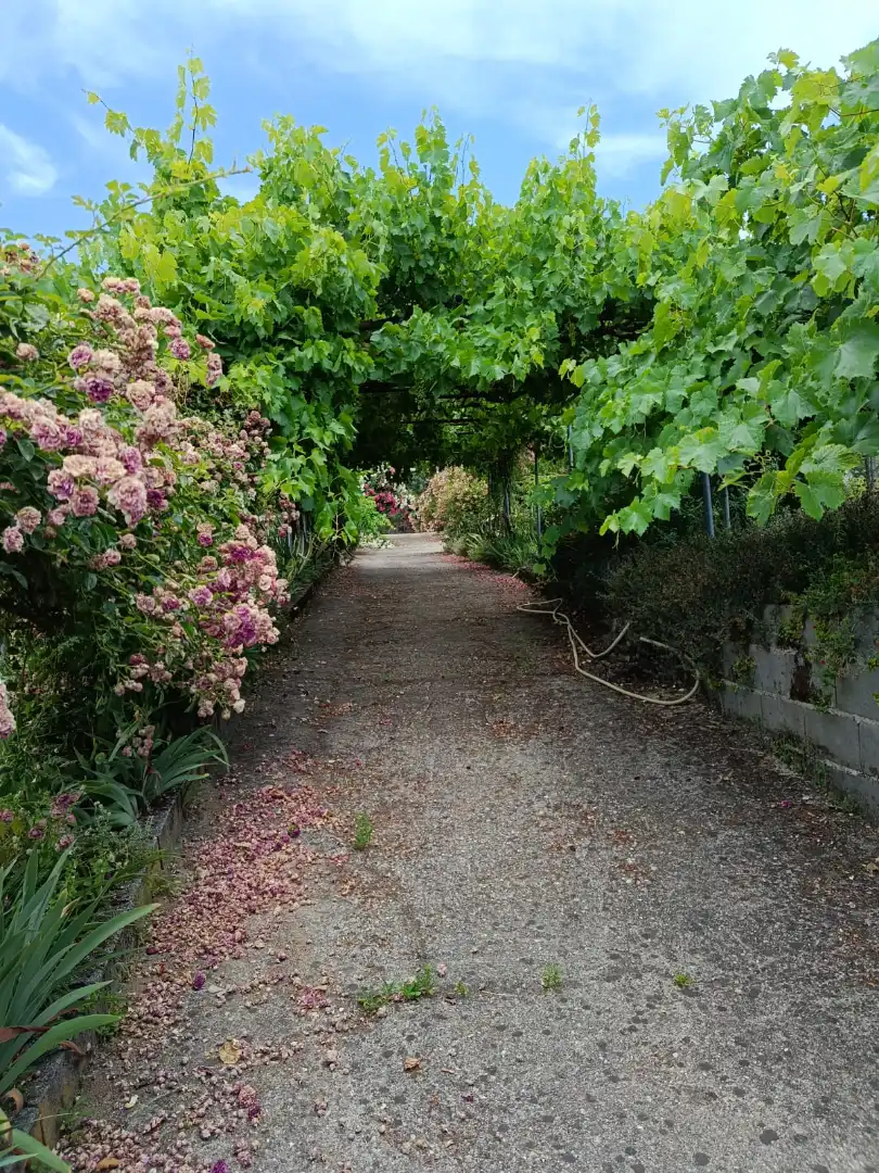 Garden of Land for sale in Jarandilla de la Vera