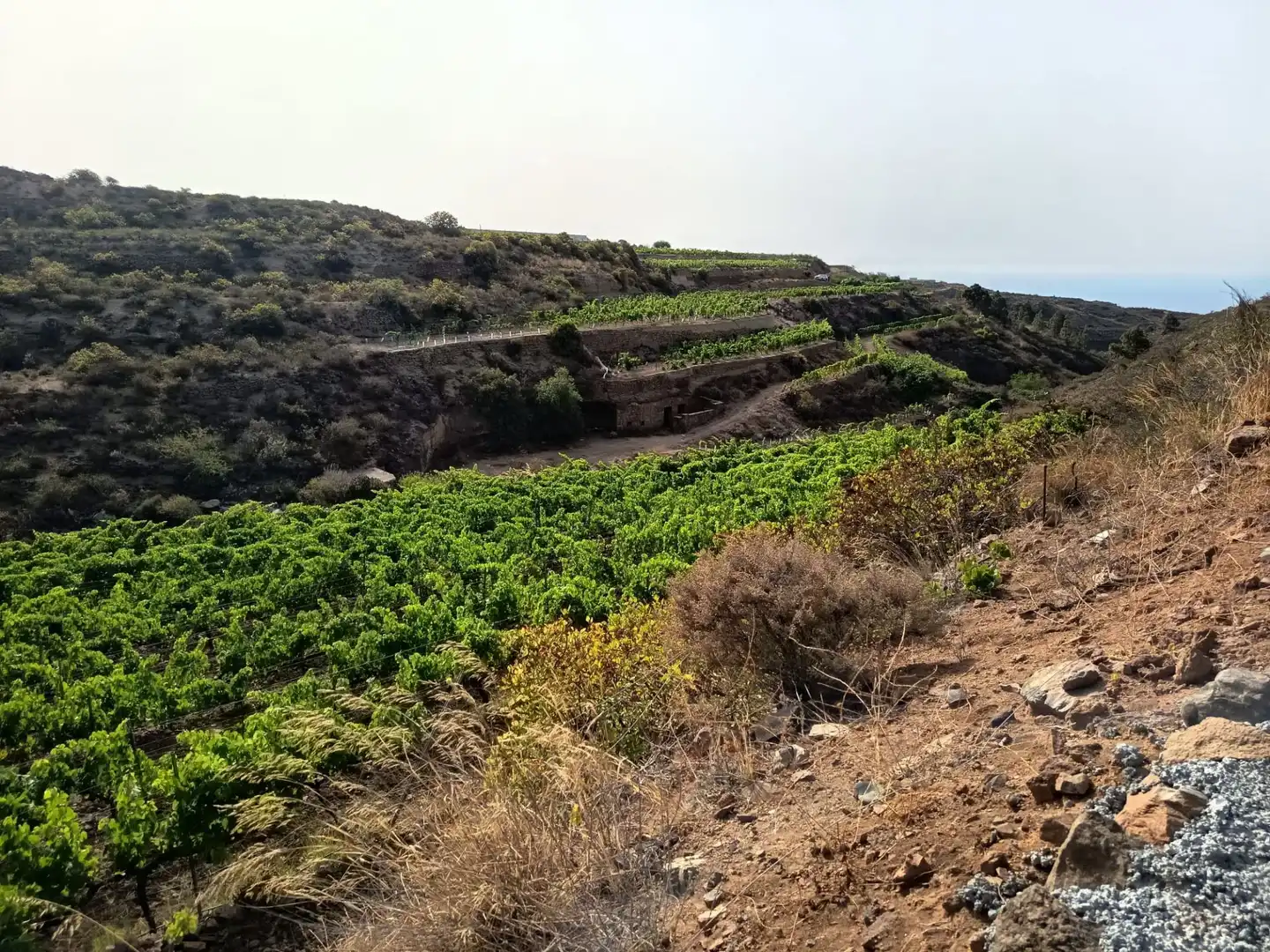 Terreno rustico in vendita a Arico, imagen 8