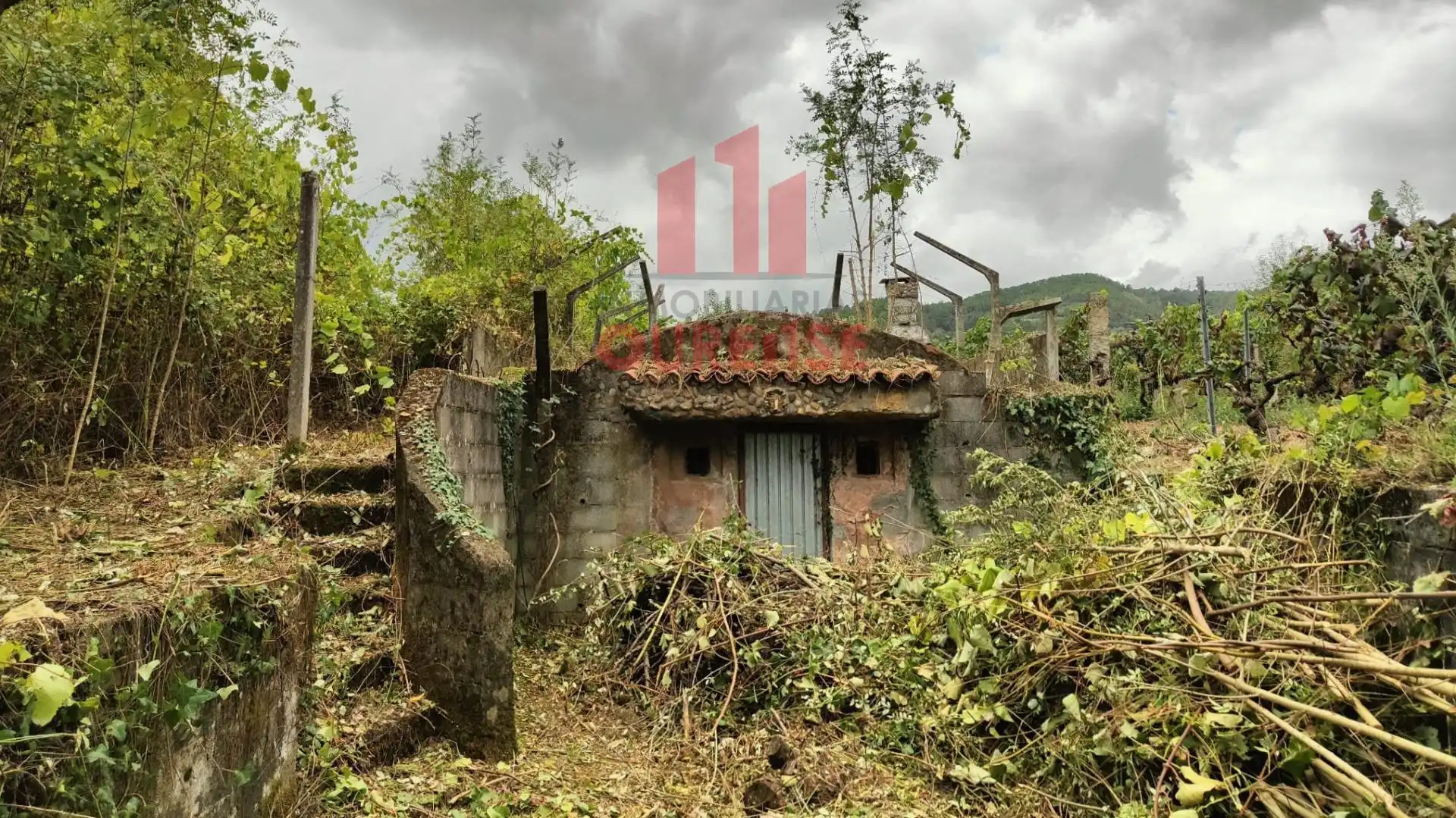 Country house for sale in Ribadavia, imagen 8