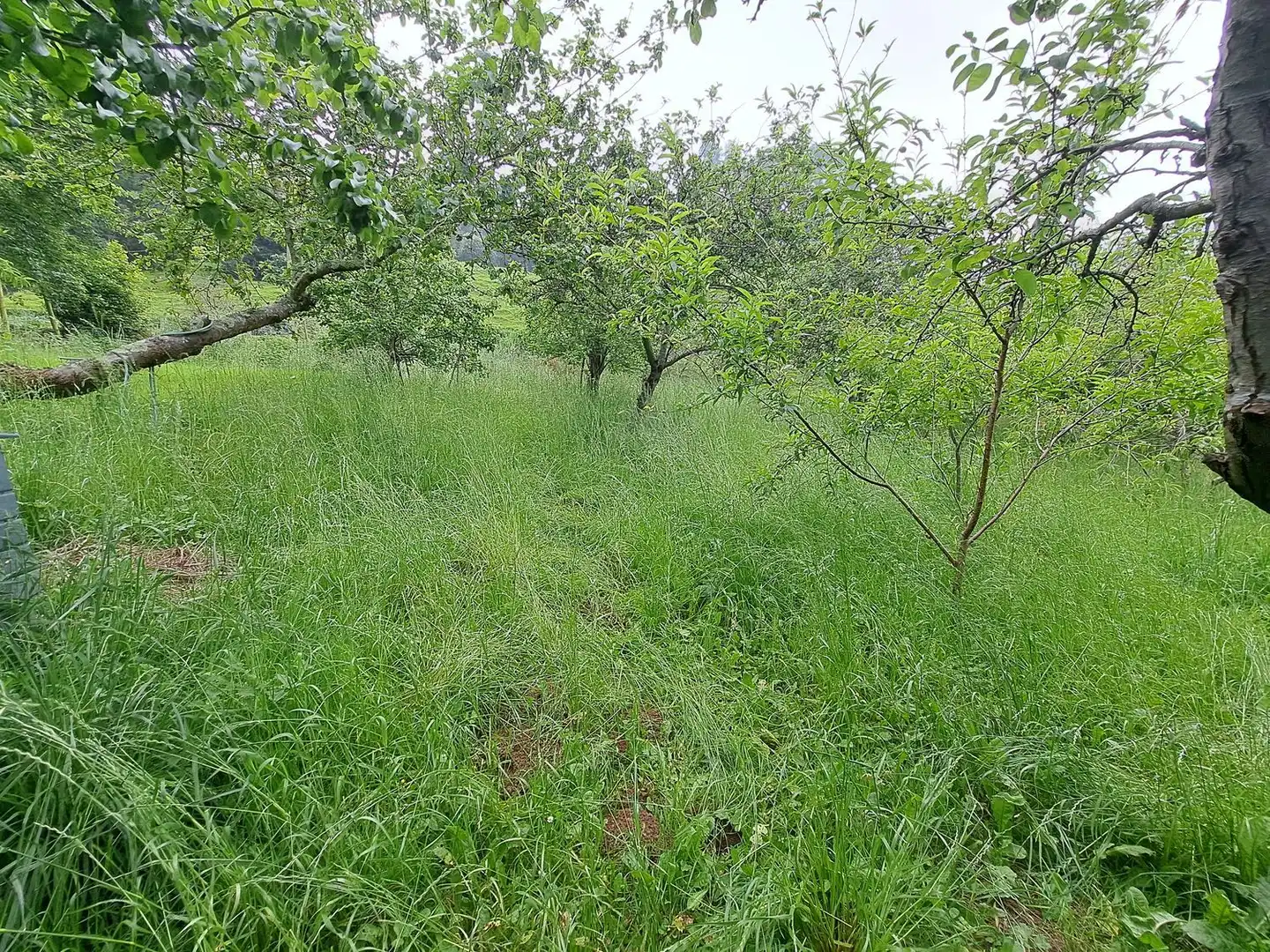 Casa o chalet en venta en Parroquias suroccidentales