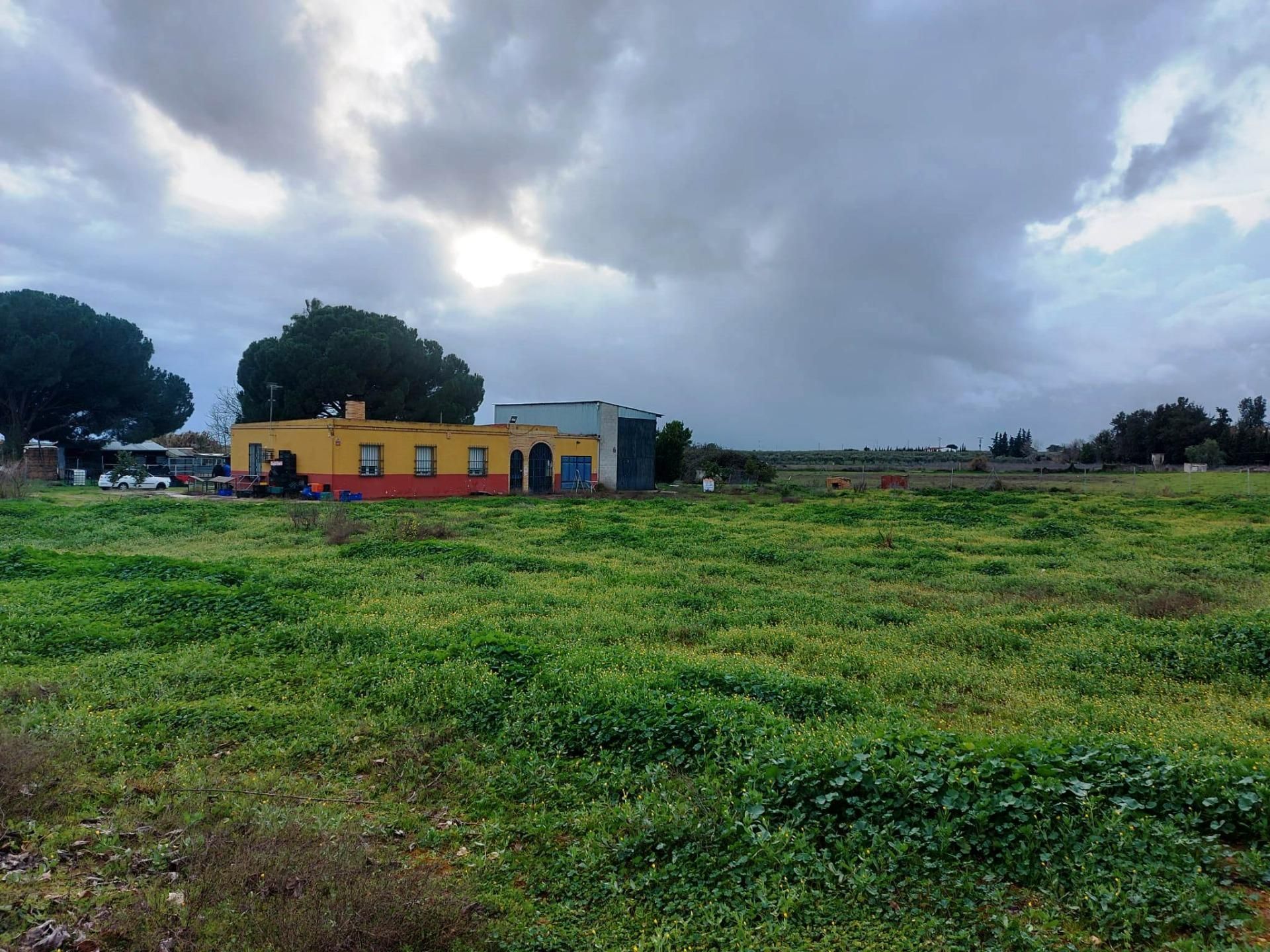 Finca rústica en venta en Bollullos de la Mitación con Jardín privado y Piscina