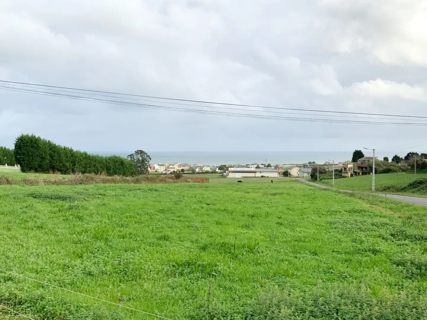 Terreni e lotti in vendita a Palmiz - San Martiño, imagen 3