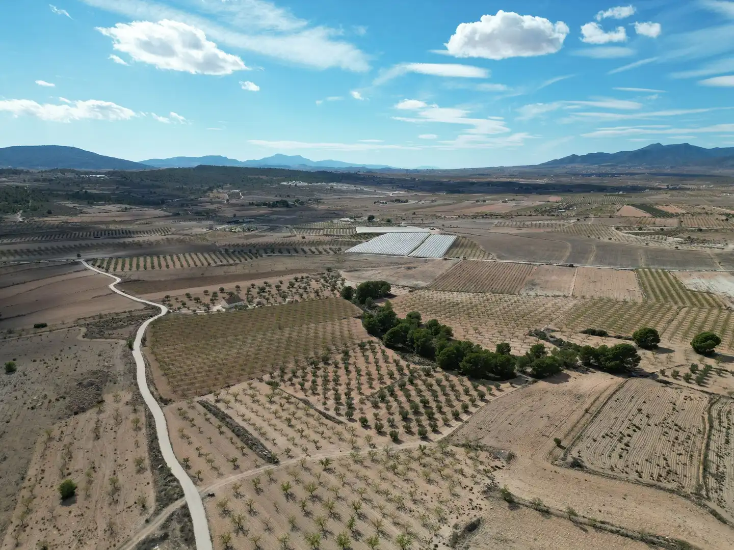 Terreno residencial en venta en El Pinós / Pinoso, imagen 21