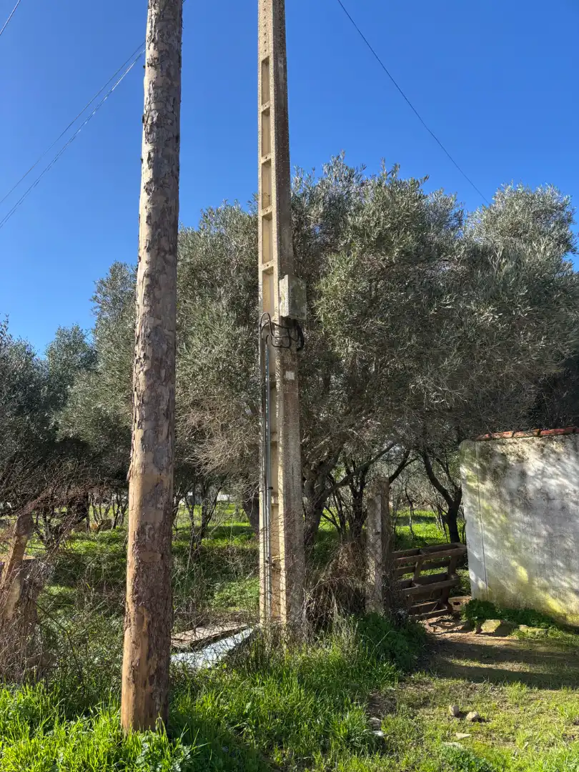 Terrenys i solars en venda a Los Franceses – La Vega, imagen 7
