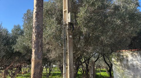 Foto 2 de Terreno en venta en Los Franceses – La Vega, Chiclana de la Frontera